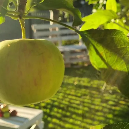 Villa W Malym Sadzie Dobra (Slupsk)