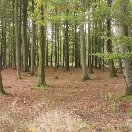 W Malym Sadzie Villa *