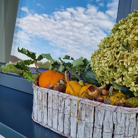 W Małym Sadzie Willa *