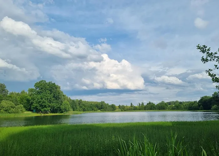 W Małym Sadzie Willa *