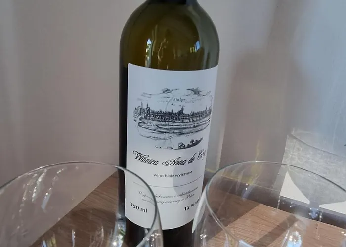 W Malym Sadzie 别墅