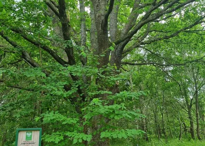 别墅 W Malym Sadzie *