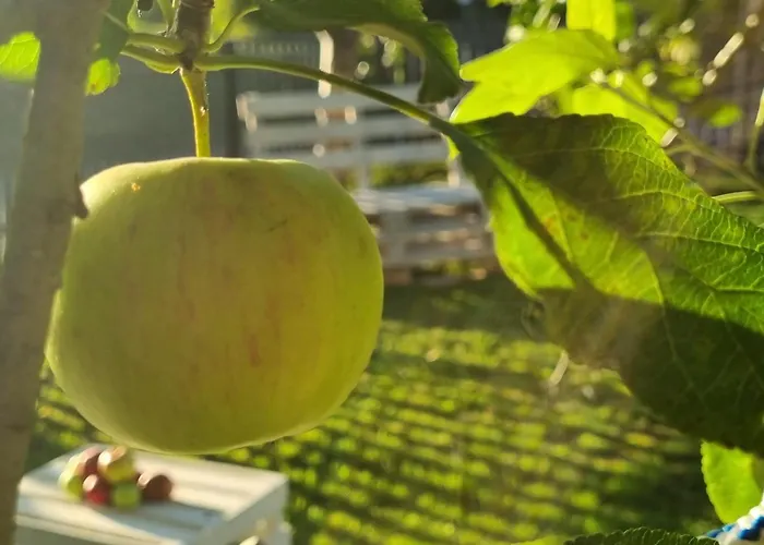 Willa W Małym Sadzie Dobra (Slupsk)