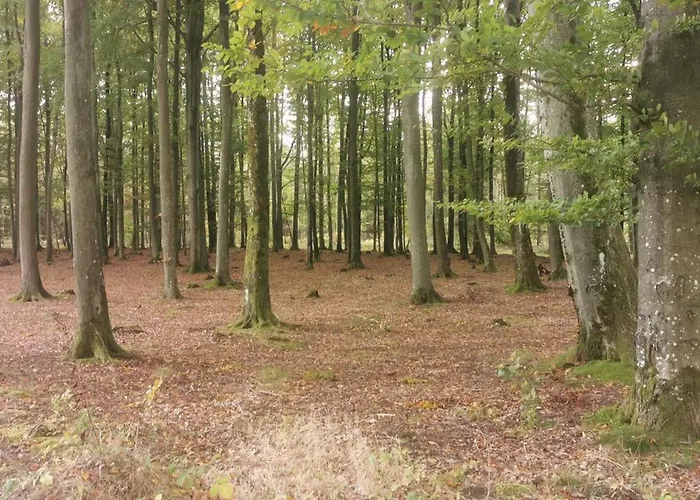 W Malym Sadzie 别墅 *