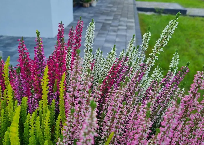 W Małym Sadzie Willa *