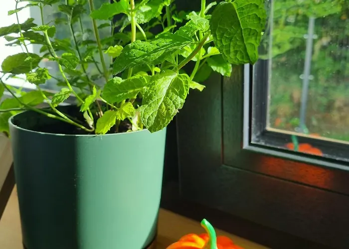 Willa W Małym Sadzie